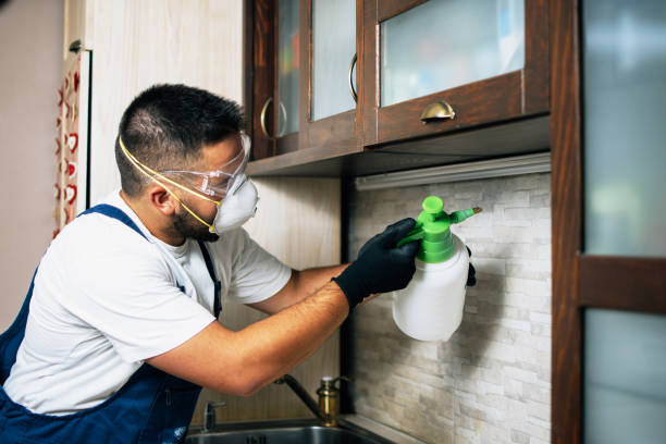 Best Affordable Pest Control Services  in Homer, LA