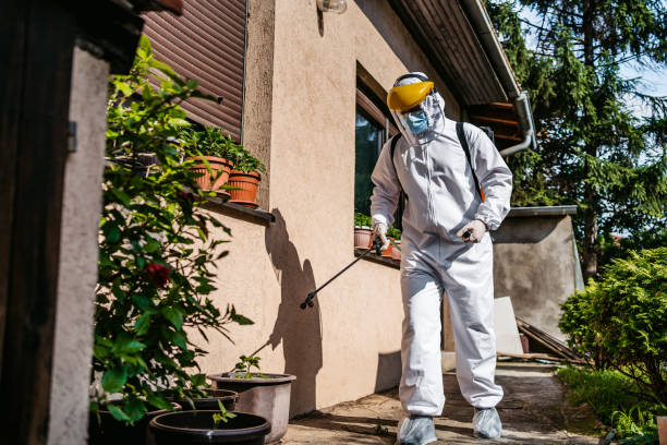 Best Insect Control  in Homer, LA