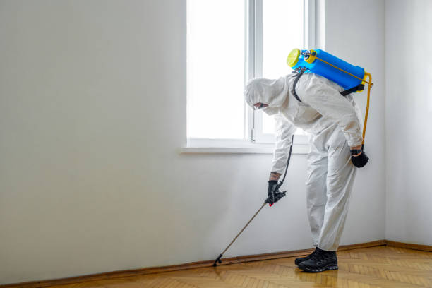 Best Flea Control Services  in Homer, LA