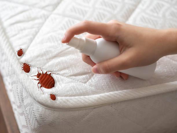 Best Pest Control Near Me  in Homer, LA
